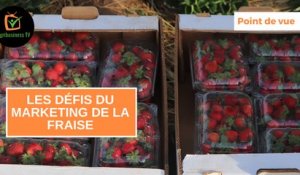 Point de vue : Les défis du marketing de la fraise