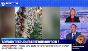 BFMTV répond à vos questions : Vaccination,qui est éligible ? - 06/04