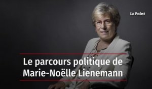 Le parcours politique de Marie-Noëlle Lienemann