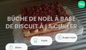 Bûche de Noël à base de biscuit à la cuiller