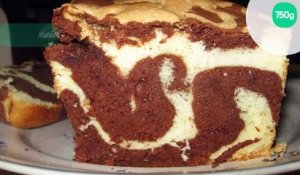 Cake marbré chocolat-vanille