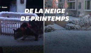 De la neige couvre une partie du Nord de la France en plein avril