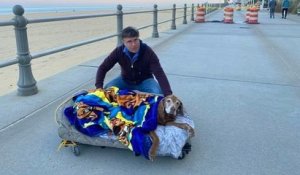 Il construit un lit sur des roulettes à sa chienne âgée pour qu'elle puisse continuer à se promener en bord de mer