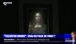 Et si le "Salvator Mundi" était un faux Léonard de Vinci ?