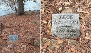 Alors qu'il se promène dans un parc de Louisiane, il découvre la tombe émouvante d'un chien mort il y a 80 ans