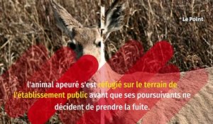 Vaucluse : une partie de chasse se termine devant une agence Pôle Emploi