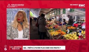 Le monde de Macron : Gel, prêts à payer plus cher vos fruits ? - 12/04