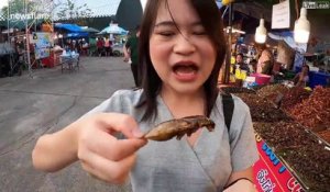 Elle mange des insectes pas très appétissants, voir même dégoutants