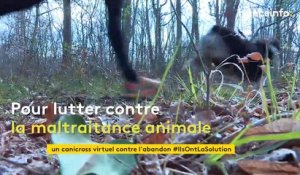 A Compiègne, des étudiantes créent une course virtuelle pour défendre la cause animale