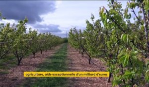 Agriculture : Jean Castex annonce une aide exceptionnelle d’un milliard d’euros