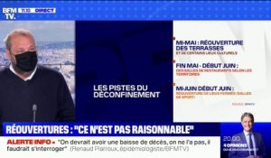 Covid-19: l'épidémiologiste Renaud Piarroux juge "très limitée" la baisse du nombre de cas en France