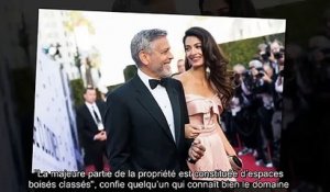 ✅ George Clooney va déménager en France - découvrez où !