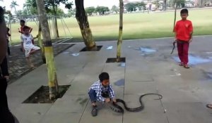 Ce gamin joue avec un cobra royal... même pas peur
