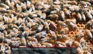 Quand un apiculteur normand installe ses ruches dans les jardins de l’Élysée