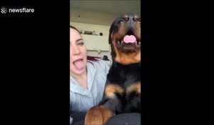 Elle imite son chien et sa réaction est hilarante