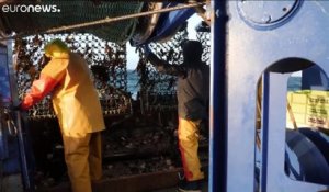 Jersey : l'inquiétude des pêcheurs français