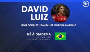 La fiche technique de David Luiz