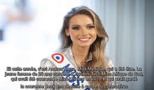 Miss Univers 2020 - Miss Mexique élue, Amandine Petit termine dans le top 21