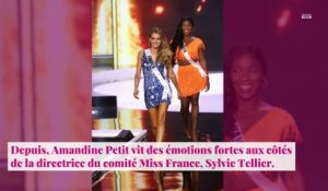 Miss Univers 2020 - Amandine Petit : Sylvie Tellier dévoile son classement sur Instagram