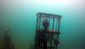Un cimetière sous marin que vous ne voulez pas voir en plongée