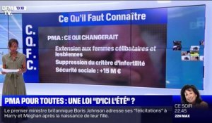 PMA pour toutes: une loi "d'ici l'été" ?