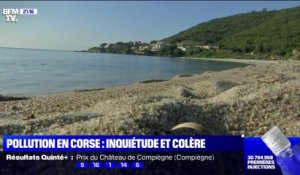 Pollution en Corse: les plages commencent à rouvrir