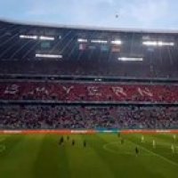 En ULM, un militant de Greenpeace a failli s'écraser dans les tribunes avant France - Allemagne !