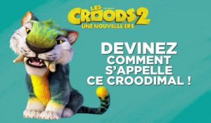 Les Croods 2 Une Nouvelle Ère Film - Le Quiz Croodimals