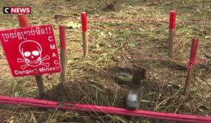 Cambodge : des rats dressés pour détecter les vieilles mines antipersonnel