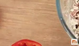 Tomates farcies au chèvre chaud