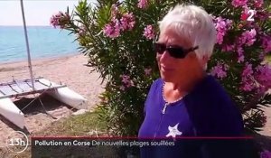 Pollution en Corse : de nouvelles plages fermées près de Porto-Vecchio