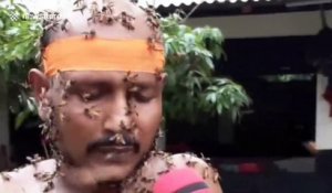 Des milliers d'abeilles recouvrent cet homme qui joue de la flute