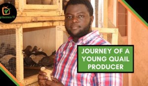 Burkina Faso: Journey of a young quail producer