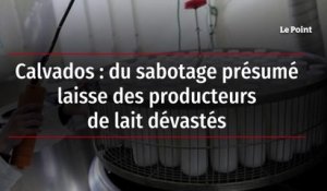 Calvados : du sabotage présumé laisse des producteurs de lait dévastés