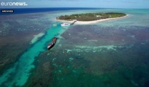 Australie : la Grande Barrière de corail "en danger", selon l'Unesco