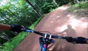 Un cycliste en VTT croise la route d'un ours en pleine descente