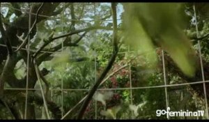 'Life Of Pi: Schiffbruch mit Tiger': der Trailer in HD