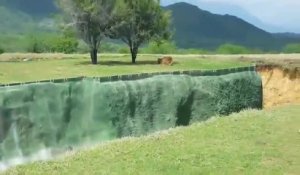 Une lionne tente d’attaquer des visiteurs