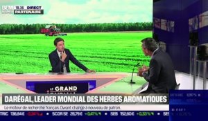 Charles Darbonne (Darégal) : Darégal, leader mondial des herbes aromatiques - 25/06