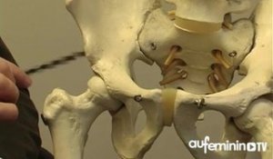 Problèmes de hanches : causes et prothèses de hanches - Alexis Nogier