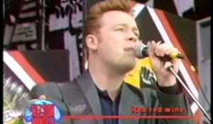 UB40 - Red Red Wine