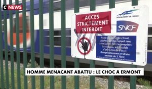 Val-d'Oise : un homme armé d'un couteau tué par la sûreté ferroviaire