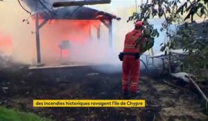 Chypre : incendies de forêt mortels et ravageurs