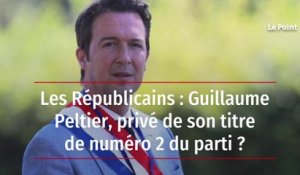 Les Républicains : Guillaume Peltier, privé de son titre de numéro deux du parti ?