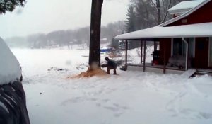 Il coupe un arbre pour qu'il ne tombe pas sur sa maison ! Raté