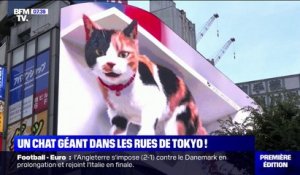 Un chat géant en 3D sur un panneau publicitaire fait sensation dans les rues de Tokyo