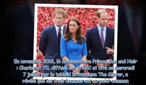 Harry et William - ce TOC qu'ils ont hérité de leur père le prince Charles (1)