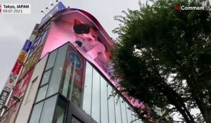 Un immense chat en 3D salue les passants au Japon