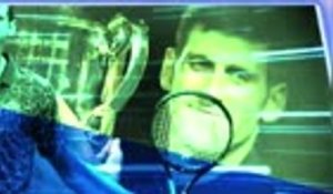 Wimbledon - Djokovic, les chiffres fous du record