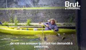 À Namur, Mark Kayak nettoie la Meuse